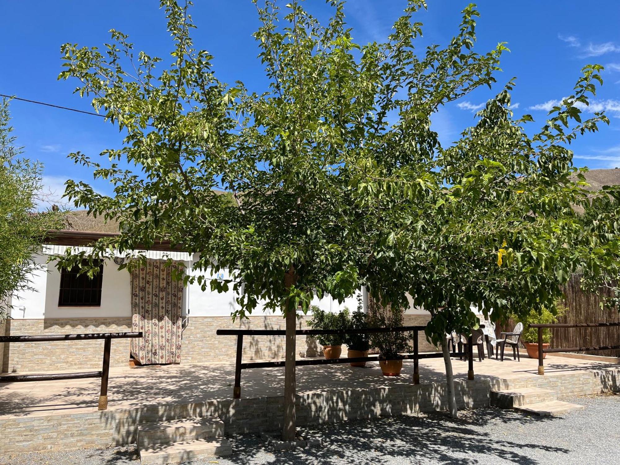 Cortijo Los Cahorros Sierra Nevada โมนาชิล ภายนอก รูปภาพ